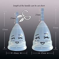 YAMEIJIA 2PCS Menstrual Collector Menstrual Cup Silicone Medical Grade Silicone Cup Cycle Ms,1,L