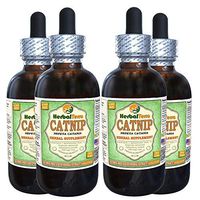 Catnip (Nepeta Cataria) Glycerite, Organic Dried Leaves and Flowers Alcohol-Free Liquid Extract (Brand Name: HerbalTerra, Proudly Made in USA) 4x4 fl.oz (4x120 ml)