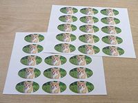 Minilabel Pack Of 30 Ginger Kitten, 51X25mm Oval Seal Labels, Stickers For Craft, Decoration, Gift Wrapping, Presents, Envelopes, Bags Or Cards