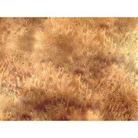 Thuya Burl, 3/4" x 3/4" x 5" (1)