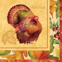 Settler's Feast Thanksgiving Luncheon Napkins 16 Per Pack