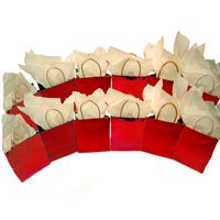 Red Foil Cube Gift Bags Pkg/12