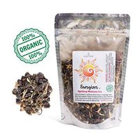 Modest Earth Energizer Stress Relief Herbal Tea - Adrenal Support Blend of Shisandra Berries, Ashwagandha, Siberian Ginseng, Tulsi, Licorice Root, Lemon Balm - 100% Organic Drink for Positive Energy