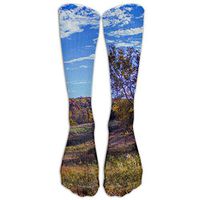 Fall Trees Grass Field Forest Landscape Clear Sky Clouds Nature Cromwell Valley Sycamore Baltimore Athletic Tube Stockings Women Men Classics Knee High Socks Sport Long Sock One Size