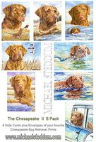 Michael Steddum Chesapeake 8 Pack Note Card Set