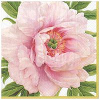 Caspari Blush Paper Dinner Napkins - 20 Per Package