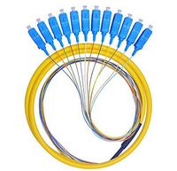 12 Fibers SC Single-Mode Color-Coded Fiber Optic Pigtail