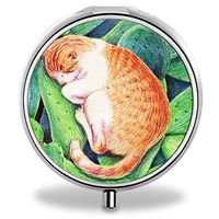 IMLONE Pill Organizer, Customized Orange Tabby Cat Pill Boxes with 3 Components and Mirror for Travelling and Daily Needs