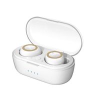 Pinsparkle Bluetooth Binaural Wireless Stereo Sports Earphone TWS with Mobile Power Bank Bluetooth Headsets