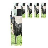 Dog Labrador Retriever Lighter Set of 5 Pieces