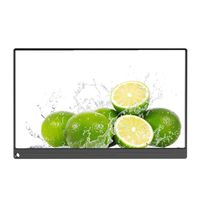 DESHENG 17.3inch PS4 Game Portable 1080P Monitor Switch Game Machine Mobile Phone Type-c Direct Connection FHD 1920x1080 IPS LCD Monitor with Hdmi Input Built-in Speaker for Raspberry Pi