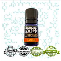 FOGG TERPENES Tangie (5 ml)