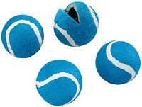 Walker Tennis Balls Set of 4