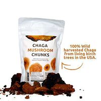 Blue Earth Organics Chaga Mushroom Chunks, Wild Harvested in Western Maine. Reuse Chunks for 120+ Cups! (4oz)