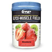 Glyco-Muscle Fueler | All-Natural Pre – Intra – Post Workout Carbohydrate Sports Supplement | Hyper Absorbs with 2 Hours Sustained Energy | Karbolyn, Gluten Free, Sugar Free, Stimulant Free | 900g