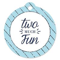 Two Much Fun - Boy - 2nd Birthday Party Favor Gift Tags (Set of 20)