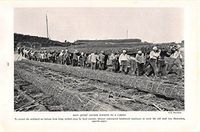 Print Ad 1933 Davy Jones Locker Submits To a Carpet