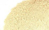 Astragalus Root Powder (2 lb)