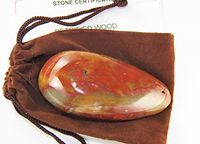 Fundamental Rockhound Products: Petrified Wood Massage Wand Teardrop Style Natural Gemstone Crystal, grounding Stone with Carrying Pouch