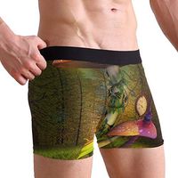 My Little Nest Mushrooms Men's Boxer Brief Short Leg Underwear L