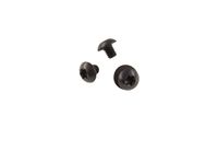 Bushwacker 100034-01 Black Stainless Steel Bolts for Pocket Flares