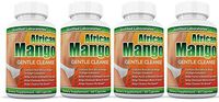 African Mango Gentle Cleanse Total Detox Cleanse Fortified with Flax Seed Aloe and Acidophilus Diet Weight Loss 60 Capsules 4 Bottles