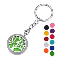 HOUSWEETY Aromatherapy Essential Oil Diffuser Key Chain - Stainless Steel Locket Keychain,11 Refill Pads(Non-Engraving)