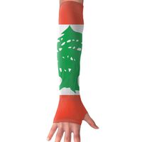 Lebanon Flag Long Sleeve Sun Protection Arm Sleeves Arm Cooling Sleeve Cycling Outdoor Sports Leisure