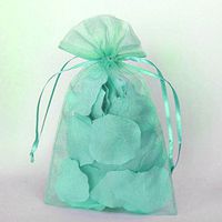 Sheer Organza Pouch Bag, 144-pack (6" x 9", Aqua)