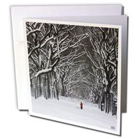 3dRose Christmas in New York Snow Blizzard in Central Park Second Picture Greeting Cards, Set of 12 (gc_45557_2)