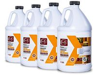 Flo-X Primer-Time Mold Killing Pre-Primer, 1 gal, Set of 4