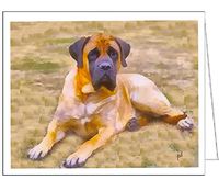 English Mastiff - 'Maury' - Set of 6 Blank Notecards and Envelopes By Doggylips