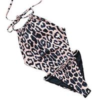 Gojendy Women's Retro Vintage Leopard Printed One Pieces Swimsuit Halter Spaghetti Backless High Cut Sexy Monokini (S, Brown)