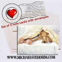 Michael Steddum Irish Terrier Feet, Note Card Set