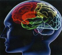 Mephisto Subliminal CD Creativity *Ignite The Spark Of Creativity*