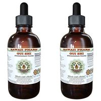 GUI Zhi Alcohol-Free Liquid Extract, GUI Zhi, Cinnamon (Cinnamomum Cassia) Twig Glycerite Herbal Supplement 2x2 oz