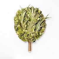 RuPost 3 pcs x Premium Eco Birch with an Eucalyptus Broom for Bath and Sauna, Organic Aroma Birch with an Eucalyptus Broom, Fresh Collection, Russian Broom