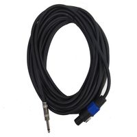 Seismic Audio - SASPT14-50 - 50 Foot Speakon to 1/4" PA DJ Speaker Cable - 2 Conductor - 14 Guage