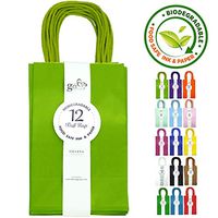 12CT Small Lime Green Biodegradable, Food Safe Ink & Paper, Premium Quality Paper (Sturdy & Thicker), Kraft Bag with Colored Sturdy Handle