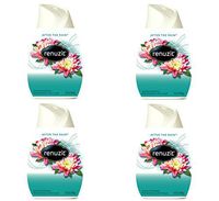 Renuzit 03663 Adjustables Air Freshener, After the Rain Scent, Solid, 7 oz (Case of 12)