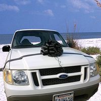 Large Car Bow, 16" Wide - Black, Halloween, Christmas, Gift Basket, Funeral, Decoration, Classroom, Office, Fundraiser, Birthday, Anniversary