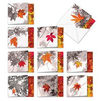Autumn Leaf - Box of 10 All Occasion Fall Season Greeting Cards with Envelopes (4 x 5.12 Inch) - Colorful Leaves, Bulk Blank Note Cards - All-Occasion Nature Notecard Set MQ4629OCB-B1x10