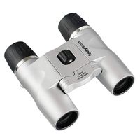 Mini 10x25 Compact Folding Binoculars Telescope for Kids/Adults,Perfect for Outdoor Birding/Travelling/Sightseeing(Silver)