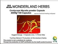 Cordyceps/Worm Grass Cephalosporium Mycelia sinensis Mushroom Powder 400mg x 100 Capules. Adenosine>0.2%