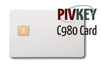 Acer Chromebook 15 C910 Full HD Screen Replacement