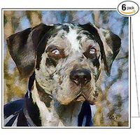 American Leopard Hound Note Cards - Set of 6