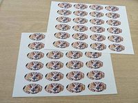 Minilabel Pack Of 48 Owl, 40X20mm Oval Seal Labels, Stickers For Craft, Decoration, Gift Wrapping, Presents, Envelopes, Bags Or Cards