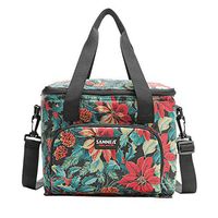 Meidexian888 Lunch Bag,10L Double Layer Insulated Cooler Camping Picnic Box Shoulder Thermal (B)