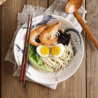 ZSQAI Salad Vegetable Bowl Noodle Soup Bowl Creative Household Restaurant Ramen Bowl