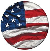 Creative Converting 8 Count Sturdy Style Paper Dinner Plates, 8.75", Patriotic Symbol
